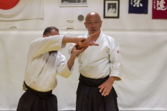 Lezione-col-Maestro-Yabuuchi-25-Aprile-2023-6