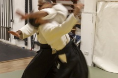 stage-aikido-e-Esami-catania-Dynimic-center-24-04-2024-8157