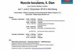 Stage Norimberga dicembre 2018