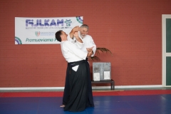 Tributo Al Maestro H Kobayashi - ottobre 2018