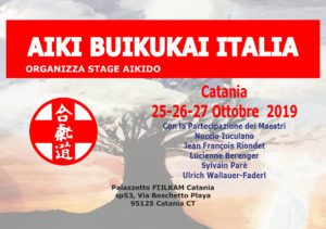 stage di aikido
